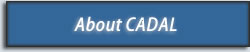 About CADAL