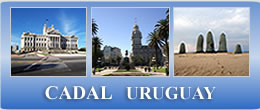    Representaci�n en la Rep�blica Oriental Uruguay   