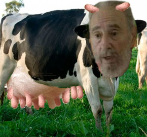 Vaca_super_lechera_Fidel_Castro.jpg (290&times;270)