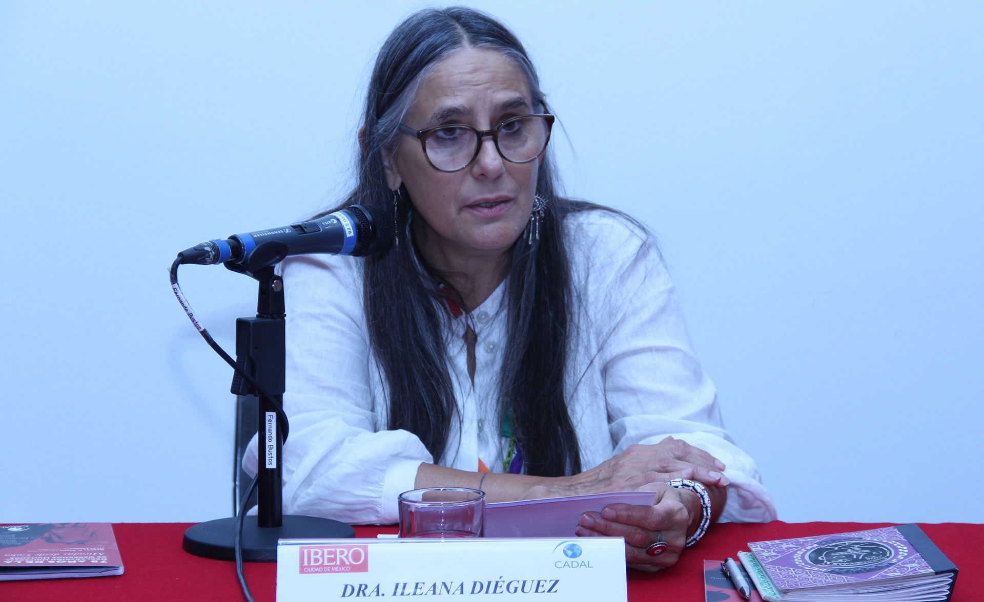 Ileana Diéguez - Presentación de libro en la Universidad Iberoamericana