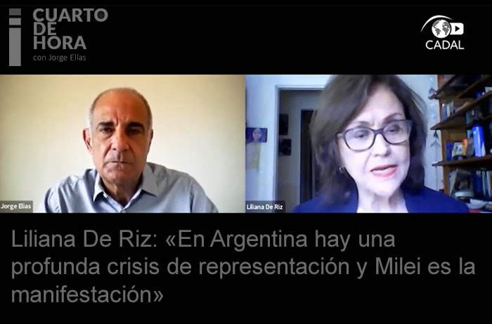 Liliana De Riz: «En Argentina hay una profunda crisis de representación y Milei es la manifestación»