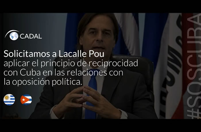 Piden que los diplomáticos uruguayos en Cuba se reúnan con la oposición «por reciprocidad»