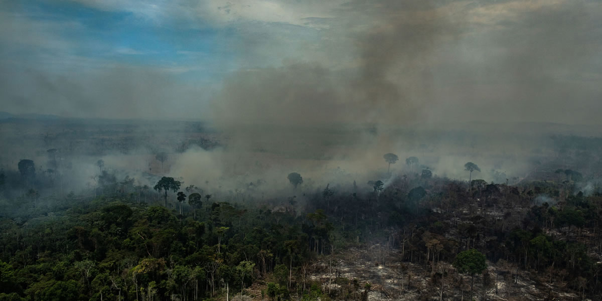 Incendio en el Amazonas