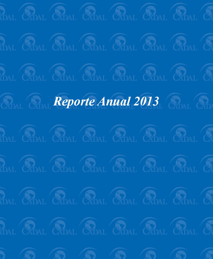Reporte anual 2013