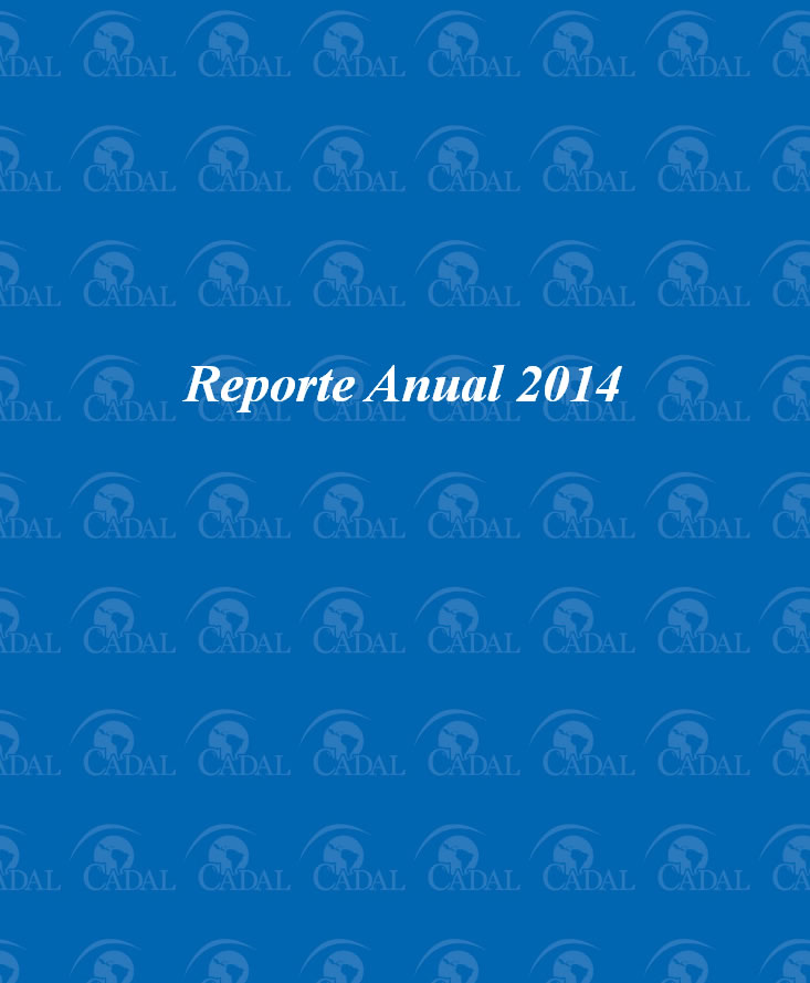 Reporte anual 2014