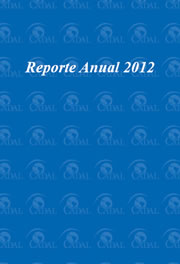 Reporte Anual 2012