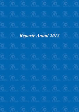 Reporte Anual 2012