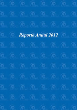 Reporte Anual 2012