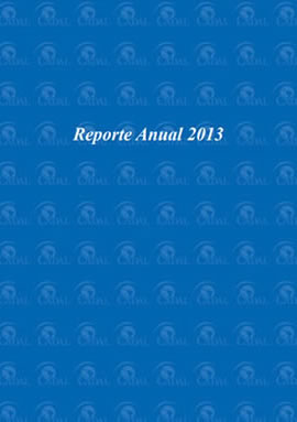 Reporte Anual 2013