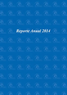 Reporte Anual 2014